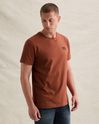 American Classic T-shirt in cotton with stretch – Brown – T-shirts | PME LEGEND