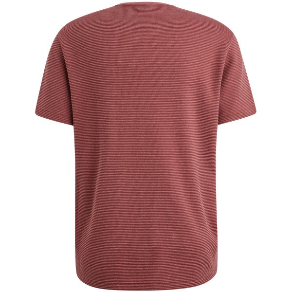 PTSS2503566-4021_back.png