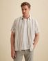 Shirt with short sleeves and woven stripe pattern – Russet Brown – Casual shirts | VANGUARD