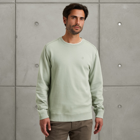 Sweatshirt with raglan sleeves