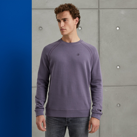 Sweatshirt with raglan sleeves