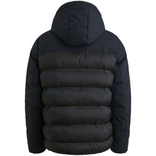 PJA2508112-5281_back.png
