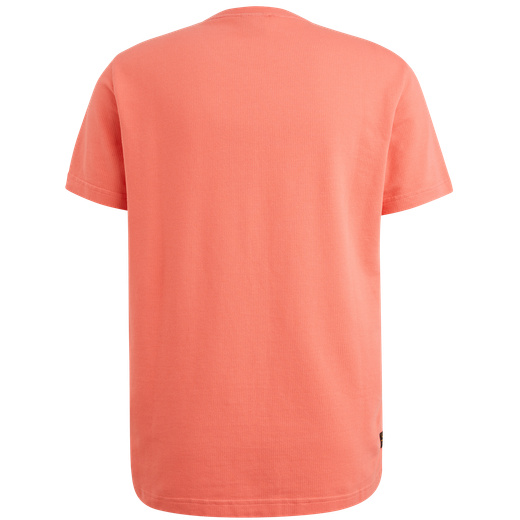 PTSS2504577-3067_back.png
