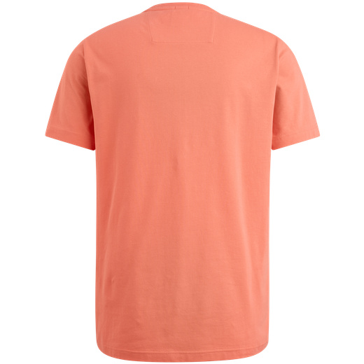 PTSS2504599-3067_back.png