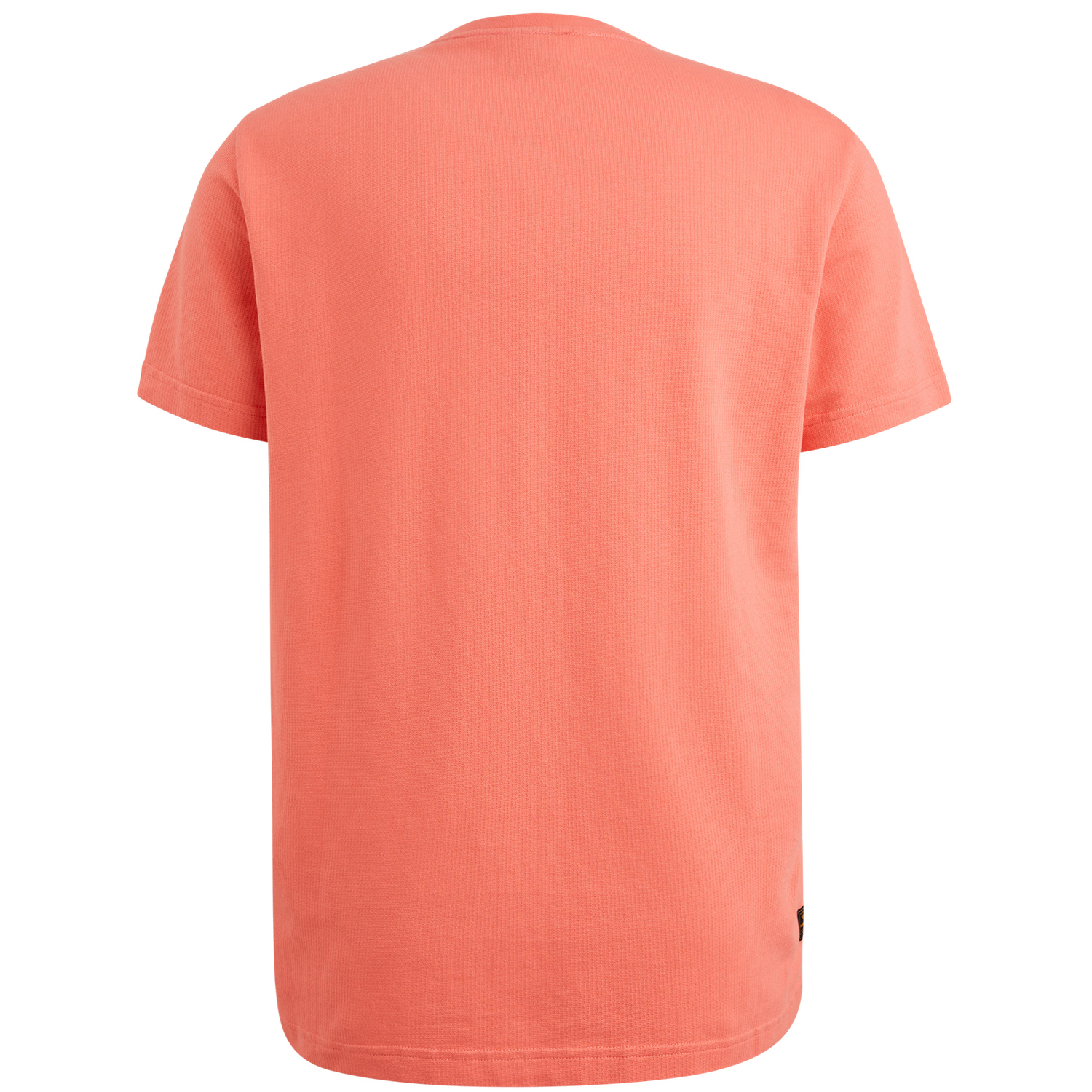 PTSS2504577-3067_back.png