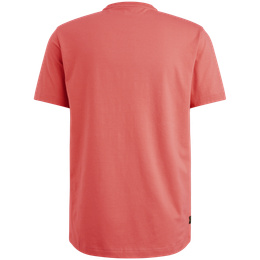 PTSS2504584-3067_back.png