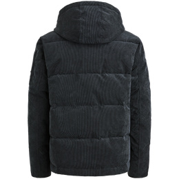 PJA2508104-5281_back.png