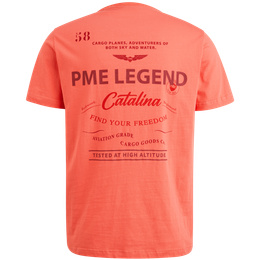 PTSS2504589-3067_back.png